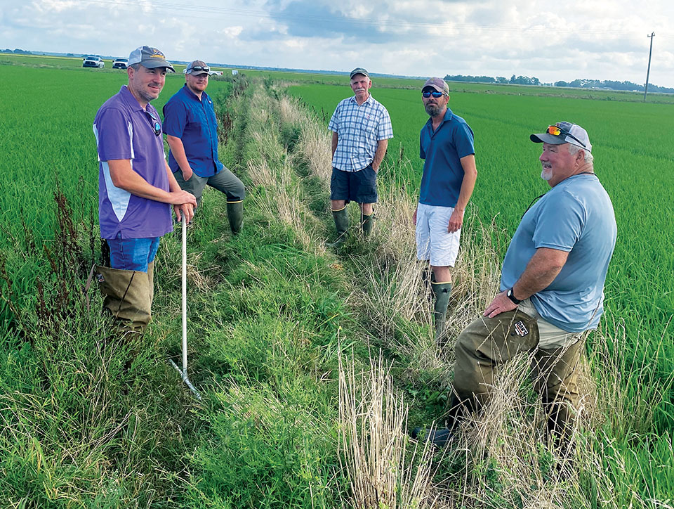 Men out in a rice field.